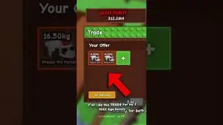 I Did THIS TRADE For my 2 MAX AGE Ferrets 😰 | W or L? 😅