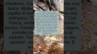 Tre signori in piscina e un fax tra le natiche. Tasche chirurgiche ingegnose!