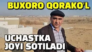 БУХОРО КОРАКУЛ УЧАСТКА ЖОЙИ СОТИЛАДИ. ИЛХОМ БАРОТОВ