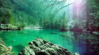 relaxing-music-mp3-relaxing-music-piano-relaxing-music-download-relaxing-music-youtube