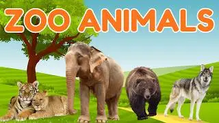 Zoo Animals Color Game 🦁🎨 | Learn Colors with Baby Animals | TinyJoy TV