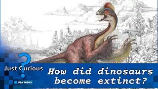 When did dinosaurs go extinct? These are the biggest theories. | JUST CURIOUS