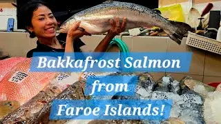 Bakkafrost Salmon from the Faroe Islands! (29 Jan 2026 Thurs)