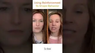 Using Reinforcement to Shape Behavior