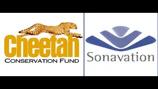 Computer America - Cheetah Conservation Fund; Sonavation
