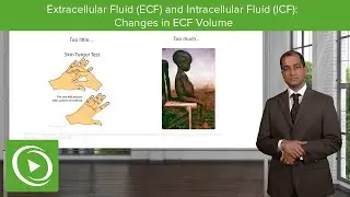 Extracellular Fluid and Intracellular Fluid: Changes in ECF Volume &ndash; Nephrology | Lecturio
