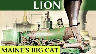 Maine's Lion