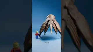 Fish Skin vs Whale Skin