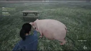 #ranchsimulator #gaming #gameplay( toady im going to make green house in my ranch)