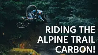 THE MARIN ALPINE TRAIL CARBON! MY BEST BIKE EVER?!