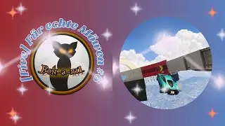 [GTA 5] [PC] [Five] F&uuml;r echte M&ouml;wen #6    @Five024579