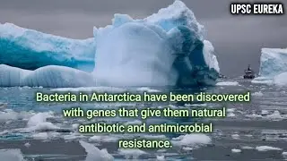 Bacteria in Antarctica With Genes That Give Them Natural Antibiotic And Antimicrobial Resistance