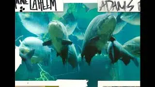 BLACK KRAY + SPACEGHOSTPURRP /// GOTHMONEYWORLD // PLUS MIKE CREEPS 1000/// MFK SCREWBOSS REMIX