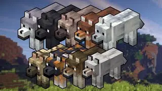 How to Find EVERY Wolf Variant in Minecraft 1.21!