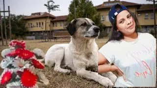 Aaj Main Aapko Imandar Dog Dikhaungi #dog #vlog #like