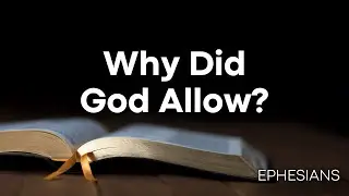 LIVE - Calvary of Tampa with Dr. Bob Gilbert | Why Did God Allow?