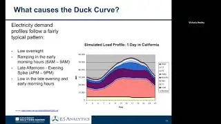 Dealing with the Duck Curve