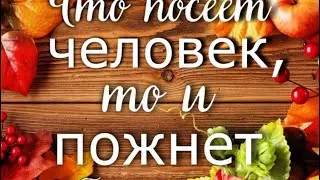 Праздник жатвы 2025 года.г.Кобрин