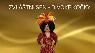 Zvl&aacute;&scaron;tn&iacute; sen - Divok&eacute; kočky