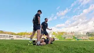 How to Coach the Jackal in 5 Easy Steps   Grillo Talpa