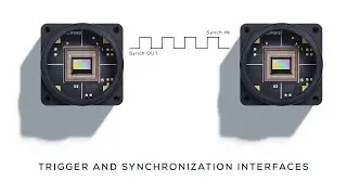 Metavision Training Videos | Trigger and Synchronization Interfaces