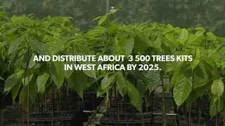 Cacao Barry - Thriving Nature - Trees kits initiative