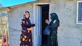 Возвращение свекрови: запоздалые извинения или начало новой войны?