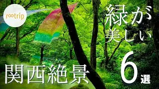 【関西】絶対に外せない「緑が美しい関西の絶景」６選
