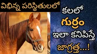 కలలో గుర్రం కనిపిస్తే || Kalalo Gurram Kanipiste? || Horse in Dream Meaning