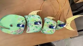 cardboard fish wizard board experement