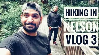 SALINA GOES FOR HIKING #arrysalina #newzealandvlog