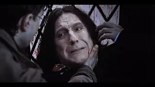 Herry & Severus