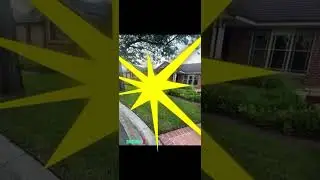 Lush green lawns on a budget