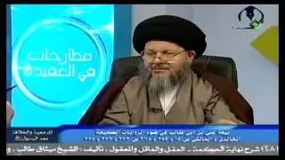علي (ع) والقتال على التأويل ق 8 - 44