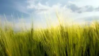 [HD] Sunny Lax - Reborn (Nitrous Oxide Remix)