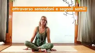 Emozioni , corpo archivio