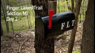 Hiking in Allegany State Park - Finger Lakes Trail (Day 2)