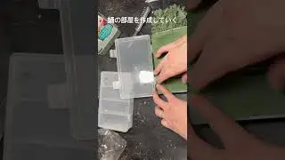 蛹の部屋を作っていく。キノコが蛹室内に生えた子たちをお引越ししめいきます