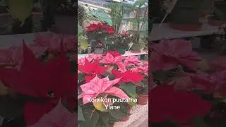 Launtaina el&auml;m&auml; mukavaa 🤗💖
