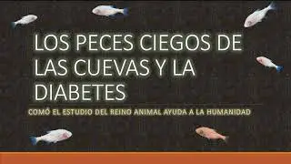 Los peces ciegos de las cuevas