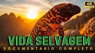 Vida Selvagem - Extremo Animal | Document&aacute;rio Completo 4K 