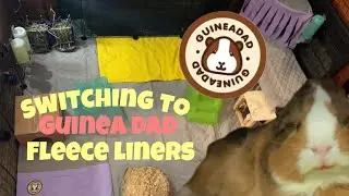 Switching to Guinea Dad fleece liners! (W/ review)