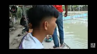 juara total wilayah 19 ekor