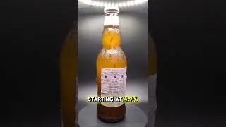 Hoegaarden white what's in the bottle! #beer #belgium #wheat #asmr #voiceover #wheatbeer