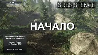 Начало в Subsistence