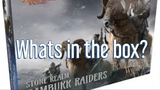 UNBOXING Rambukk Raiders, by Fireforge games