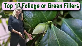 I'm Cheating a Bit on My Top 10 Foliage & Green Fillers for Bouquets This Upcoming Year