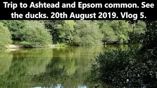 Trip to Ashtead and Epsom common. See the ducks. 20th August 2019. Vlog 5.