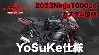 【モトブログ472】Divine Sonic 今回は少な目にカスタムしてます#ninja1000sx