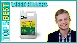 Best Weed Killers in 2023 [Top 5 Best Weed Killers]